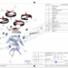 CAD Part Visualization Online